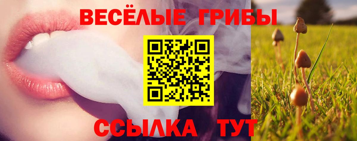 Усинск  закладки  Вход с VPN  Псилоцибиновые грибы MAGIC MUSHROOMS  Галлюциногенные грибы Psilocybine cubensis 
